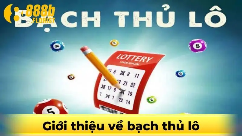 Giải mã khái niệm bạch thủ lô là gì