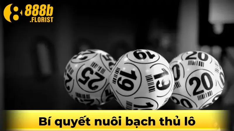 Bí quyết nuôi lô bạch thủ cực hiệu quả