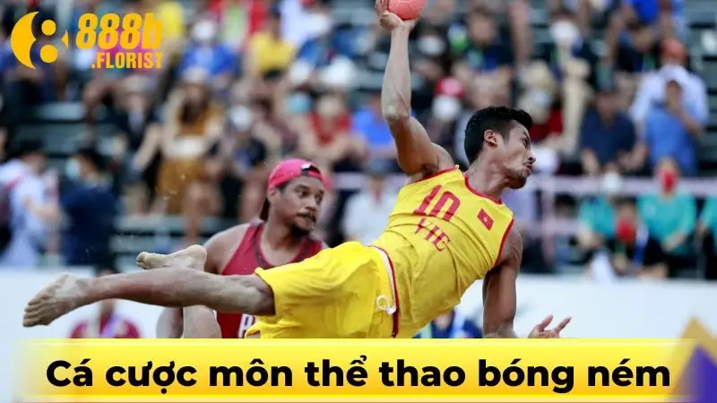 Cá cược môn thể thao bóng ném