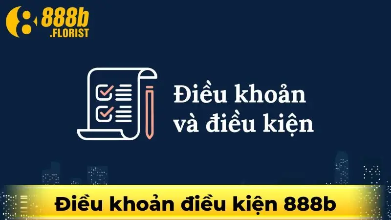 điều khoản điều kiện