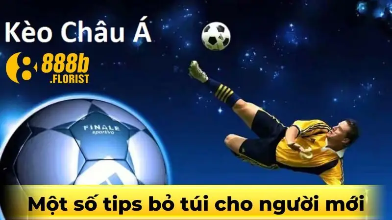 Một số tips bỏ túi cho người mới